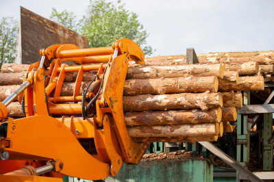 Forestry Heavy Equipment Import