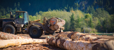 Forestry industry – In the thick of things